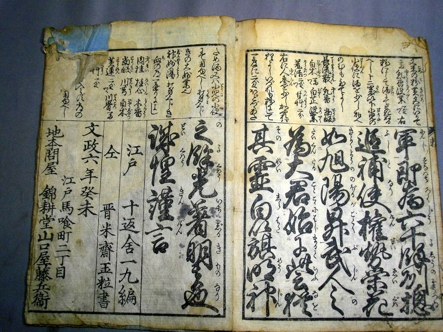 イメージ 5