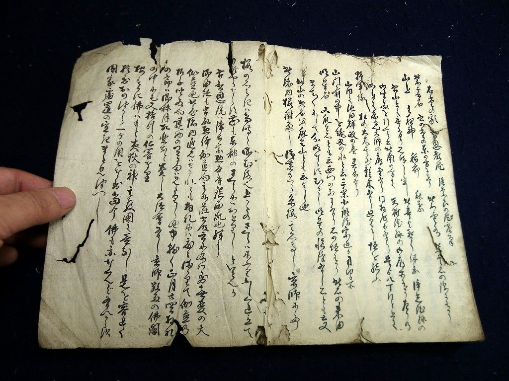 イメージ 4
