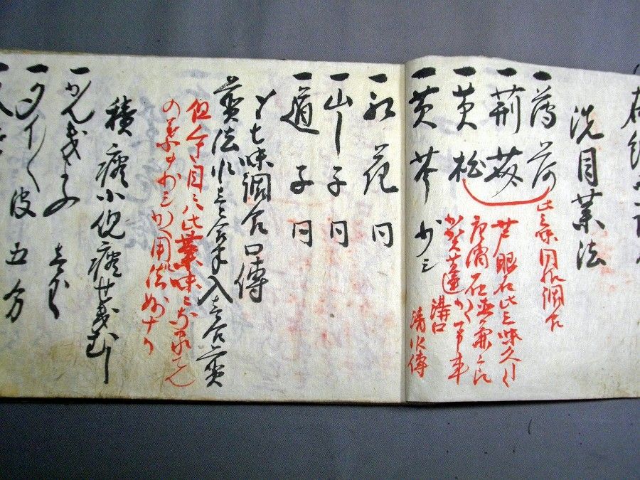 イメージ 3