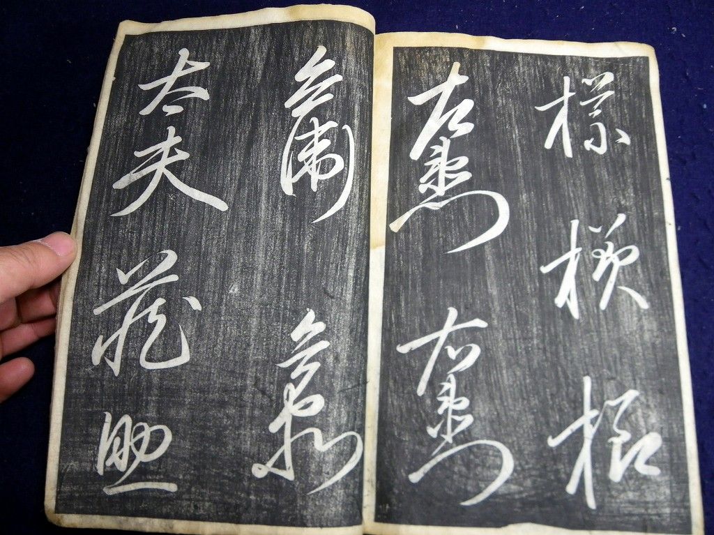 イメージ 6