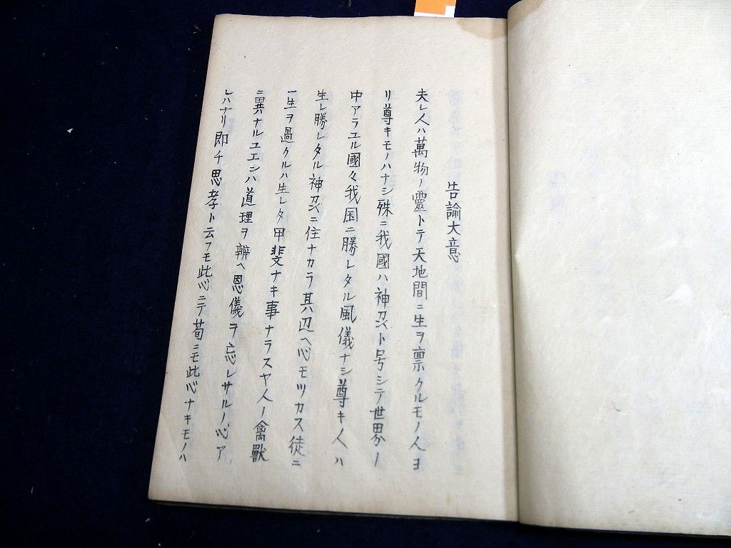 イメージ 5