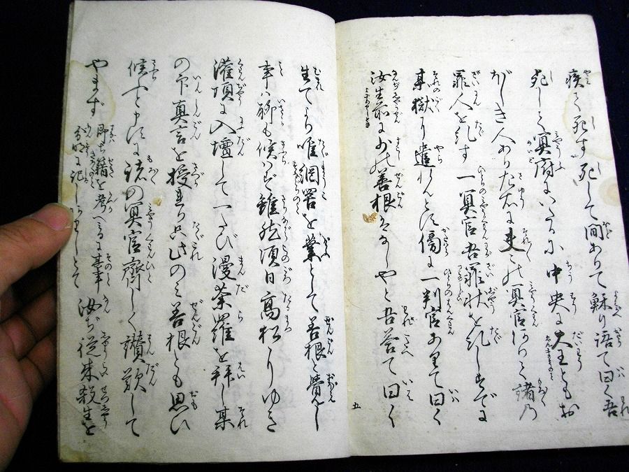 イメージ 5