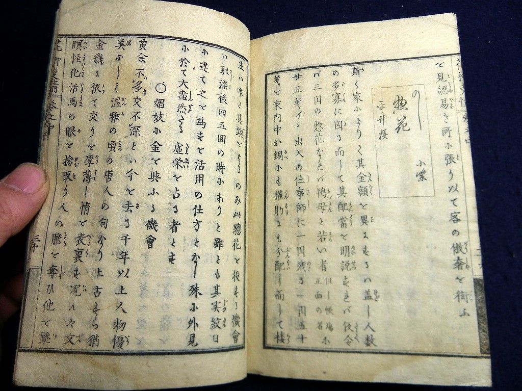 イメージ 8
