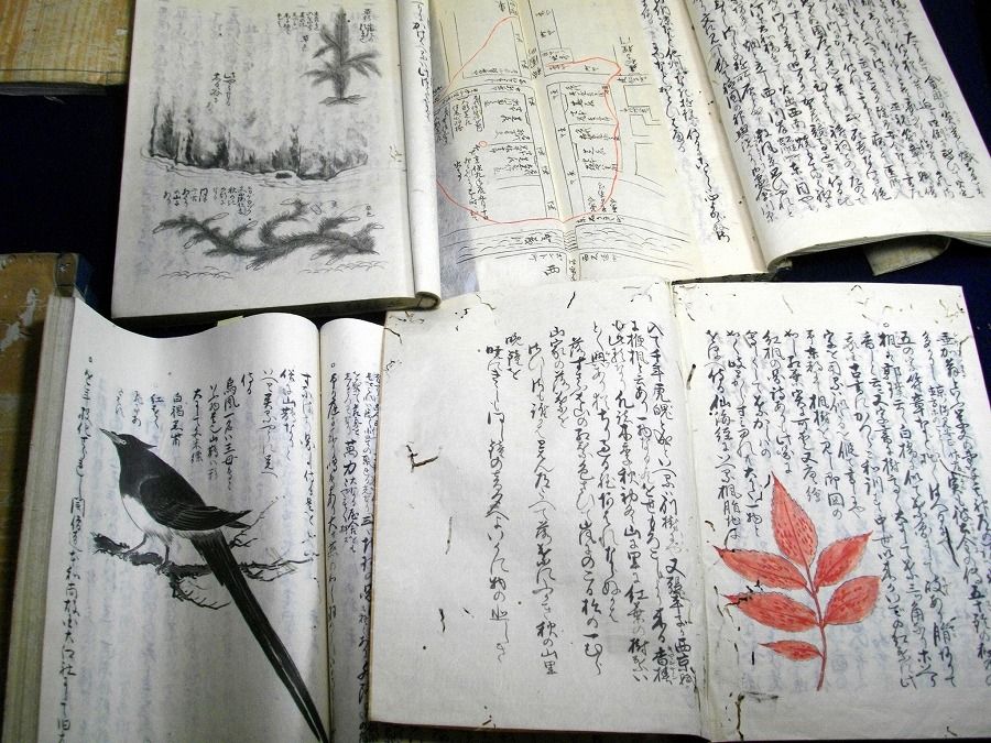 イメージ 10