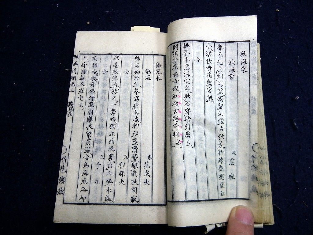 イメージ 5