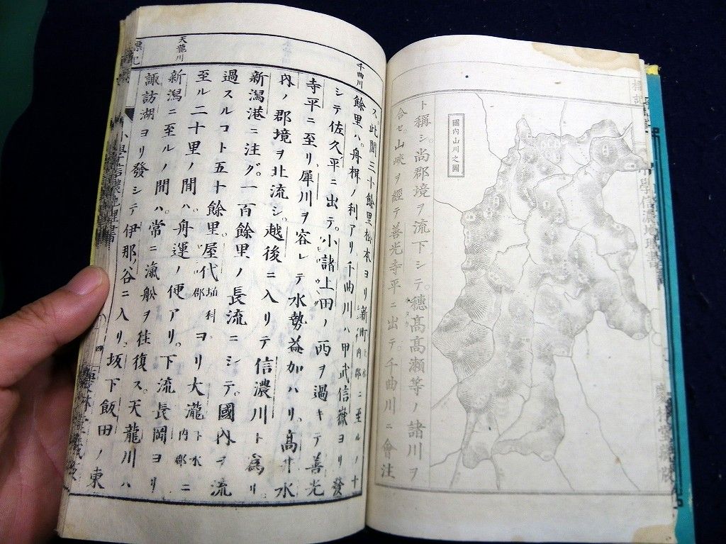 イメージ 5