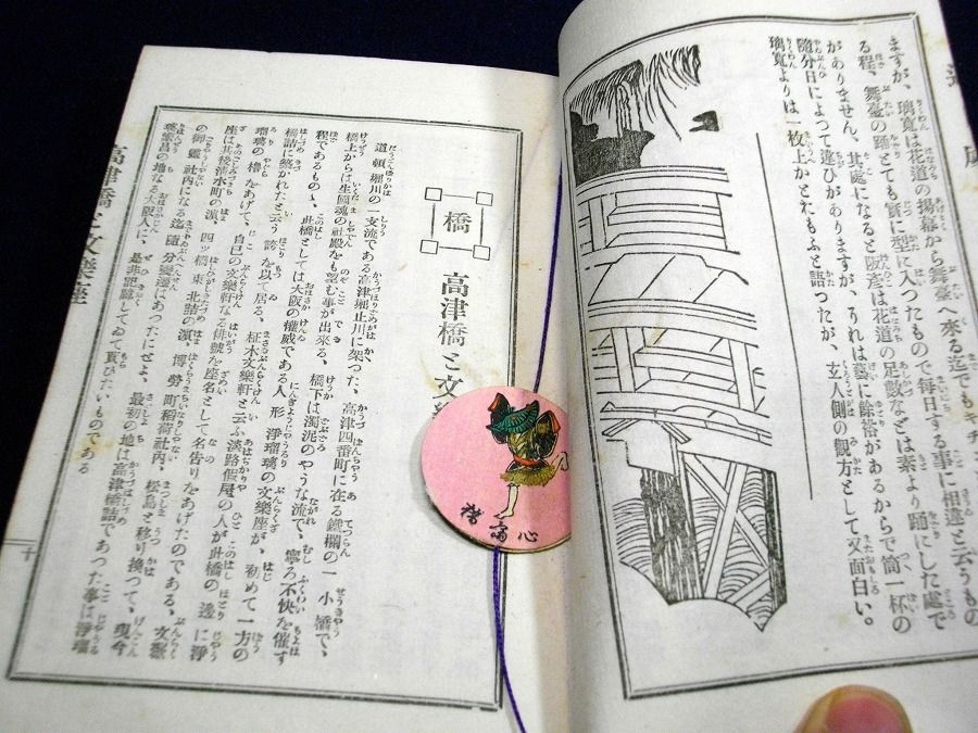イメージ 5