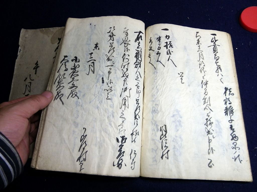 イメージ 7