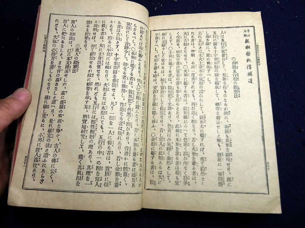 イメージ 11