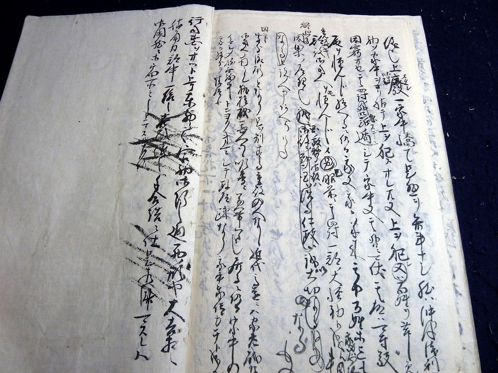 イメージ 11