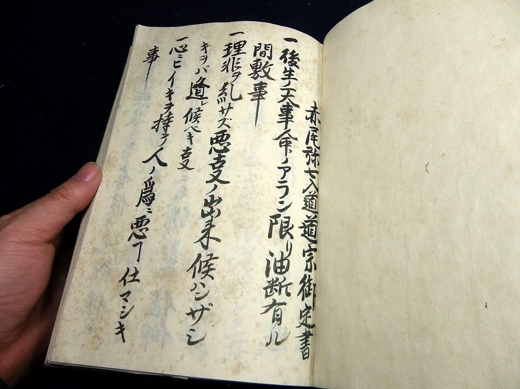 イメージ 2