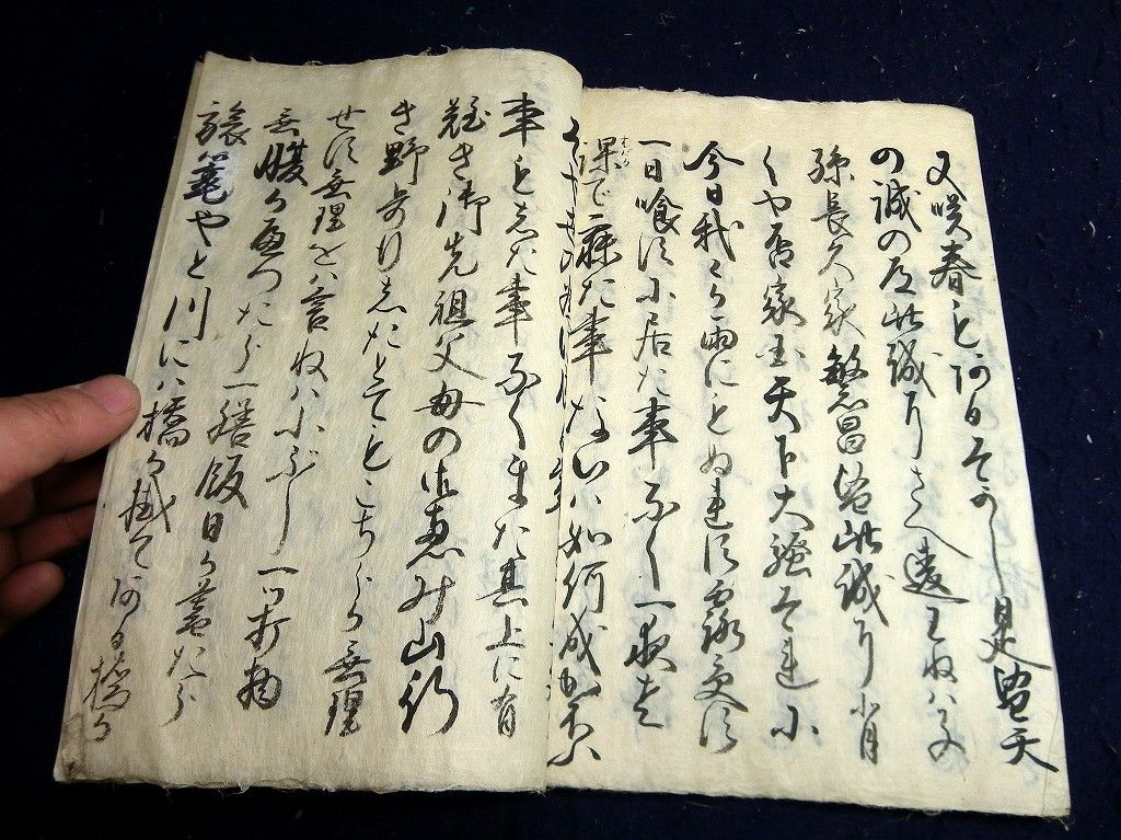 イメージ 6