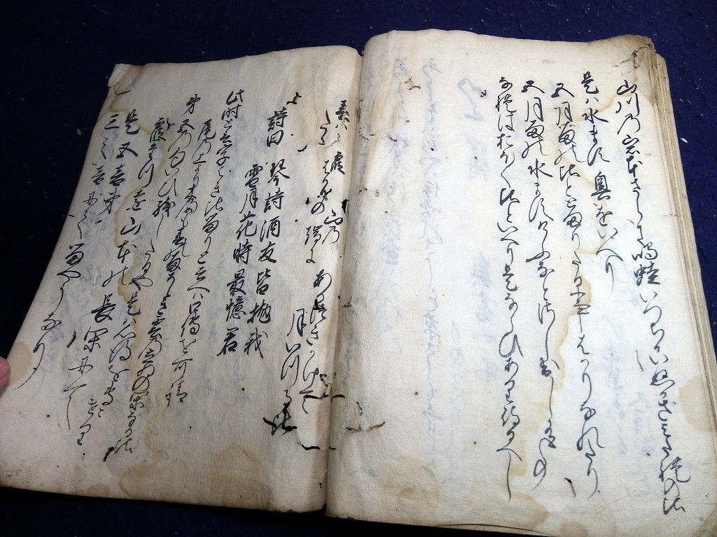 イメージ 10