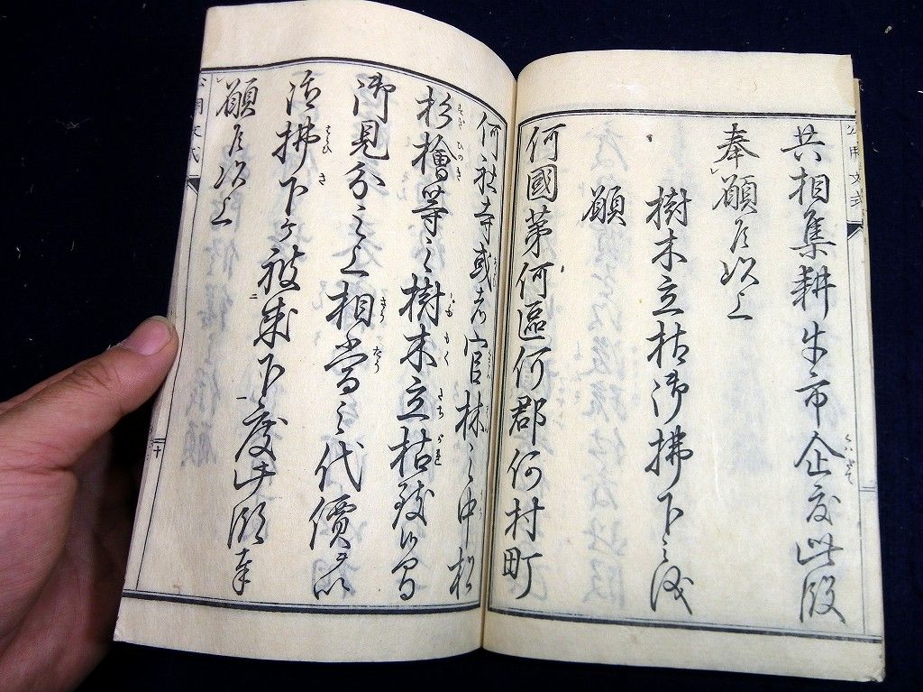イメージ 5