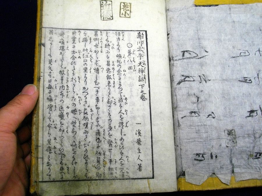 イメージ 7
