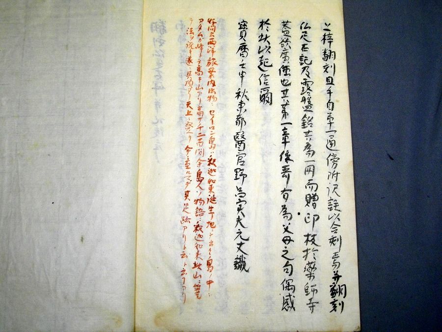 イメージ 5