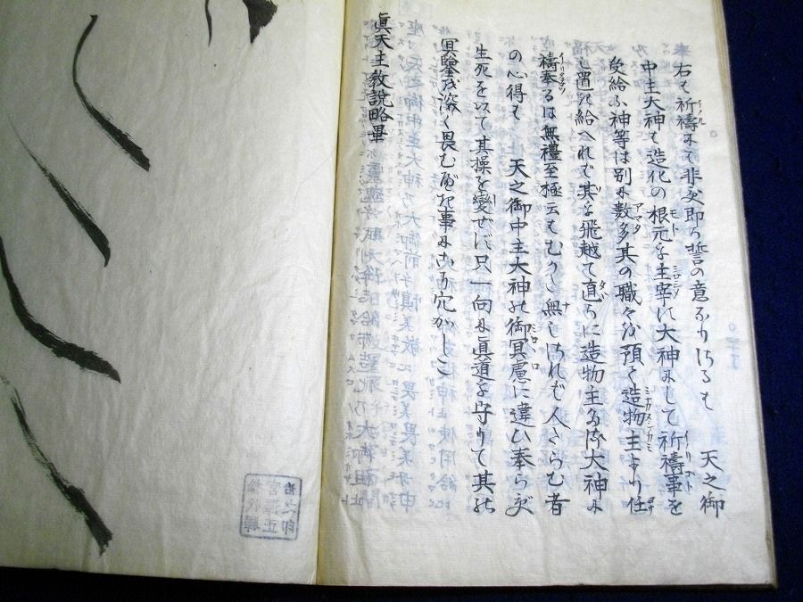 イメージ 9