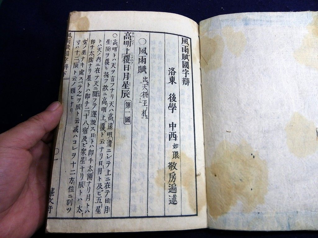 イメージ 10