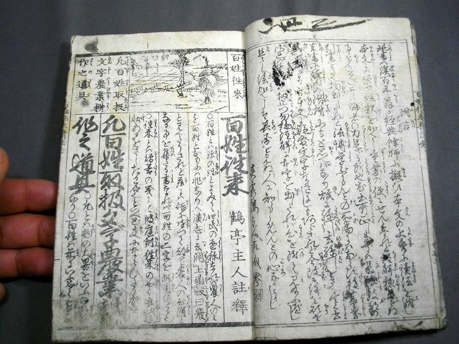 イメージ 5