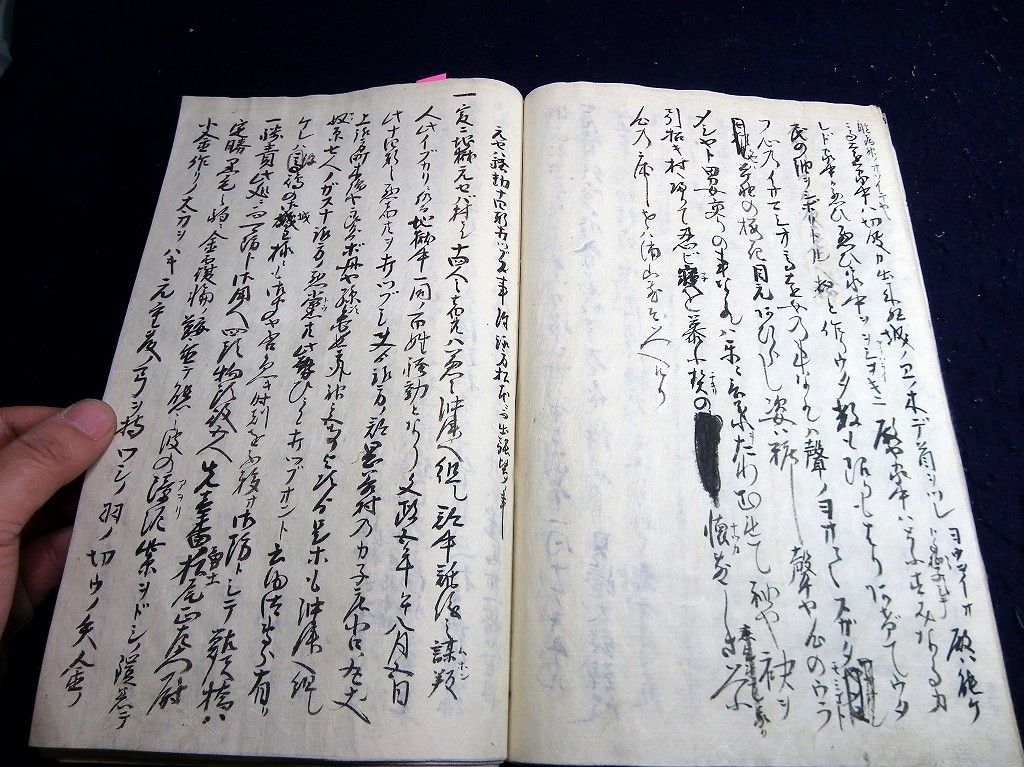 イメージ 7