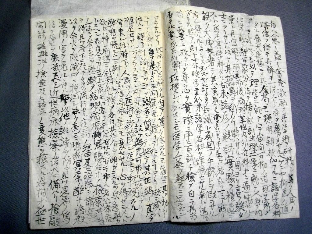イメージ 2