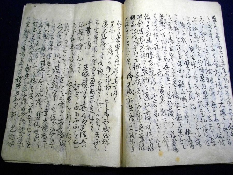 イメージ 5