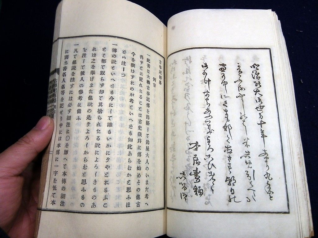 イメージ 6