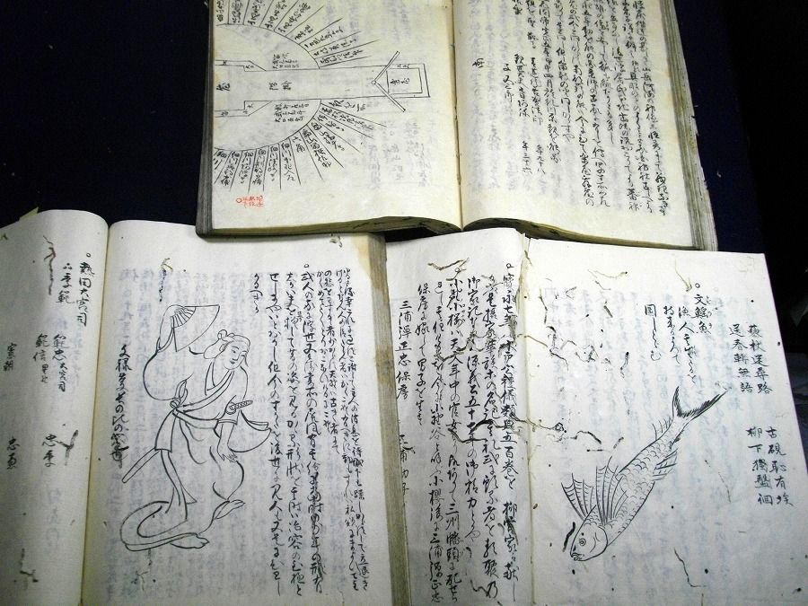 イメージ 4