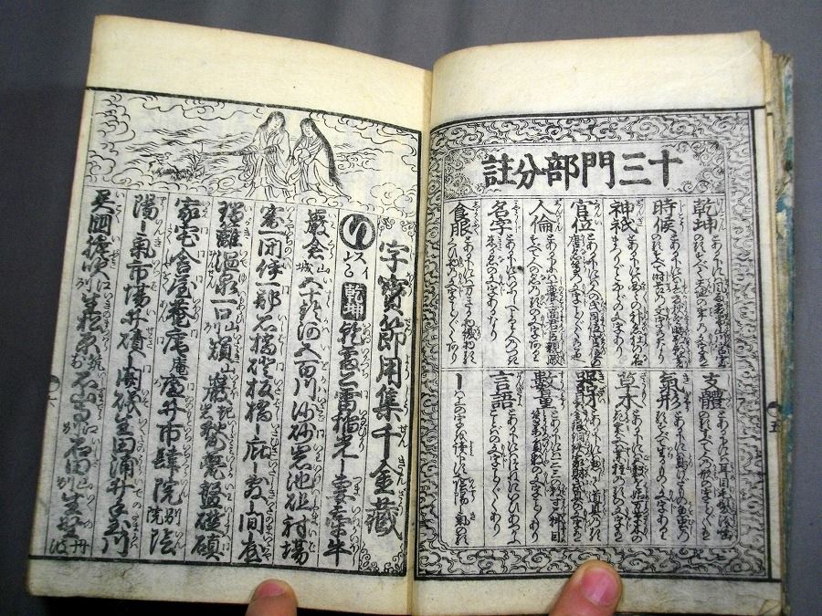 イメージ 5