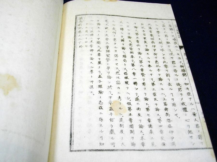 イメージ 5