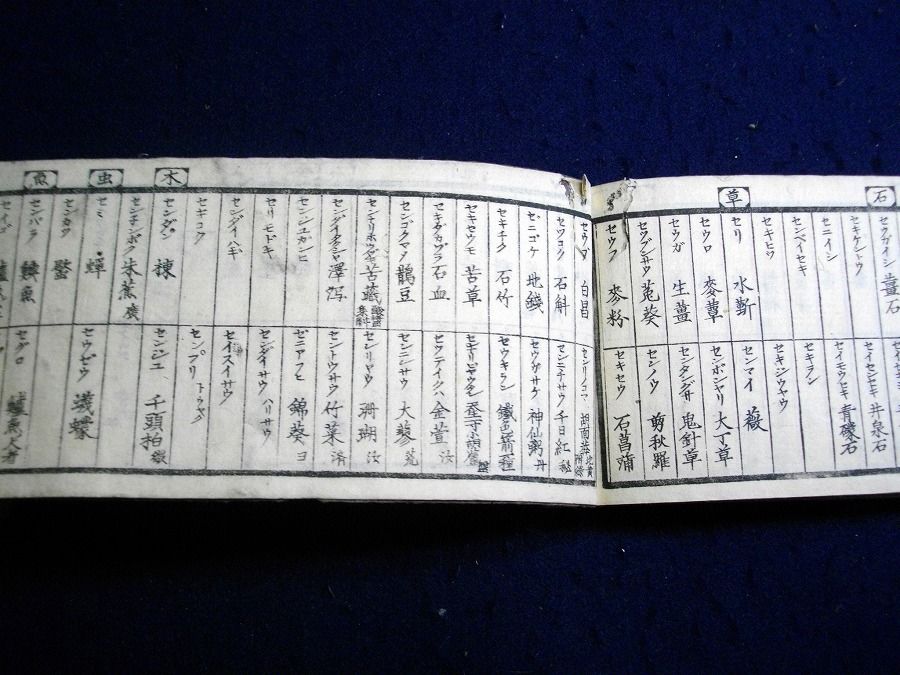 イメージ 7