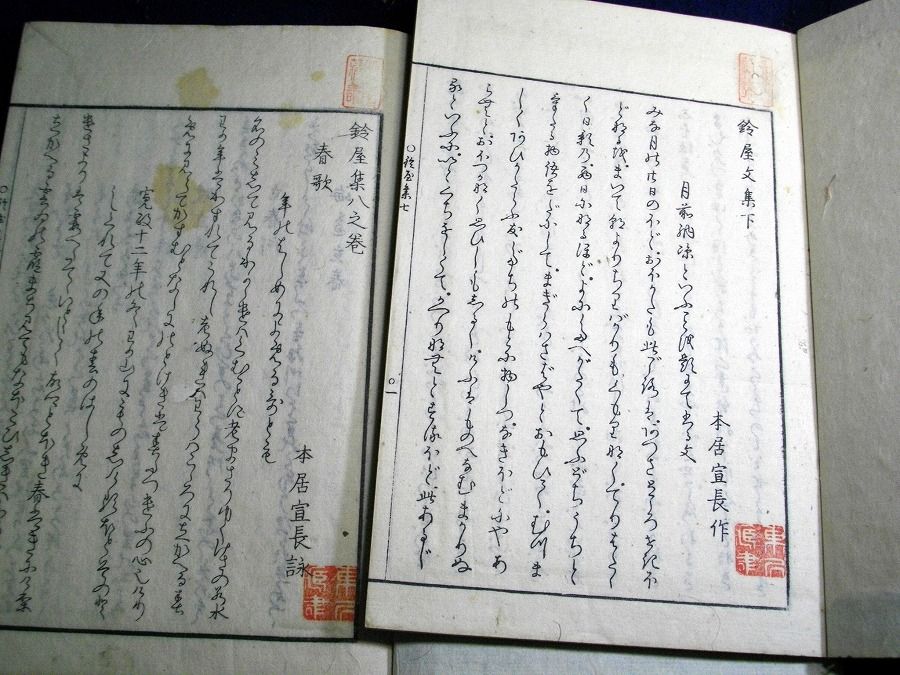 イメージ 5