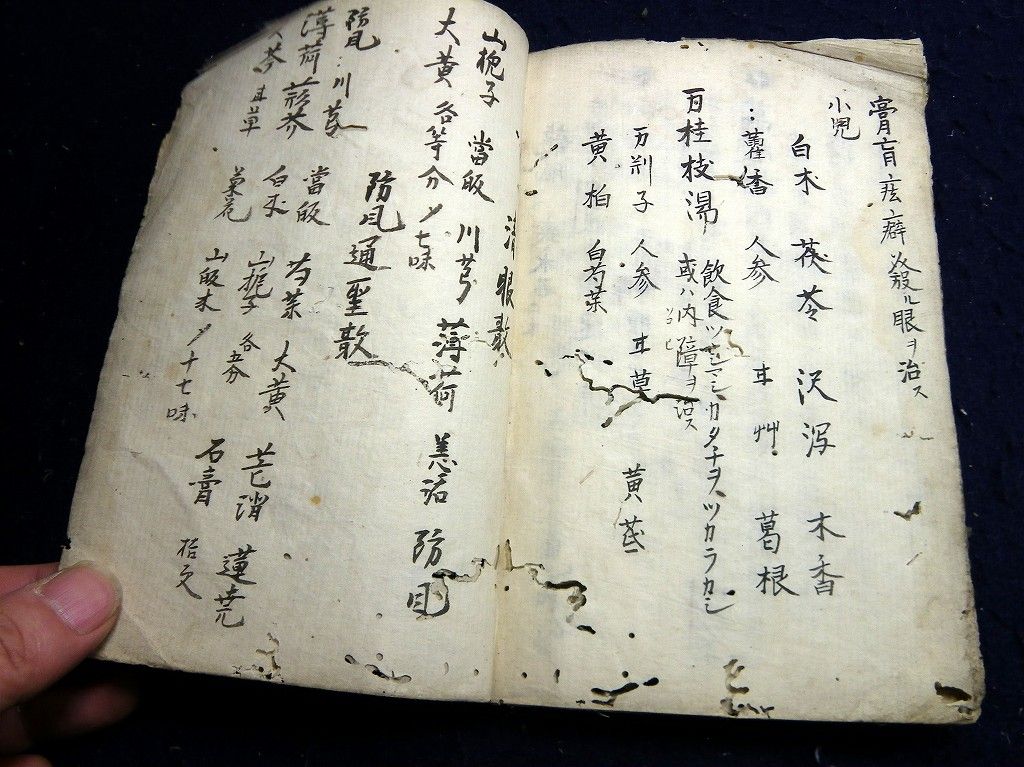 イメージ 10