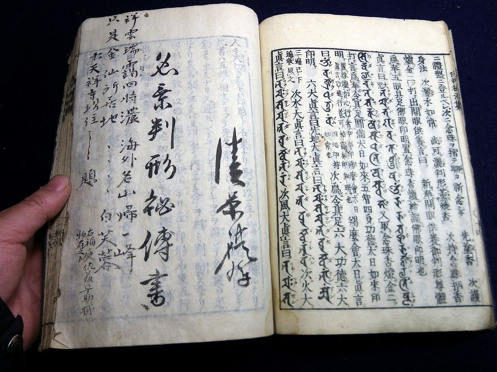 イメージ 10