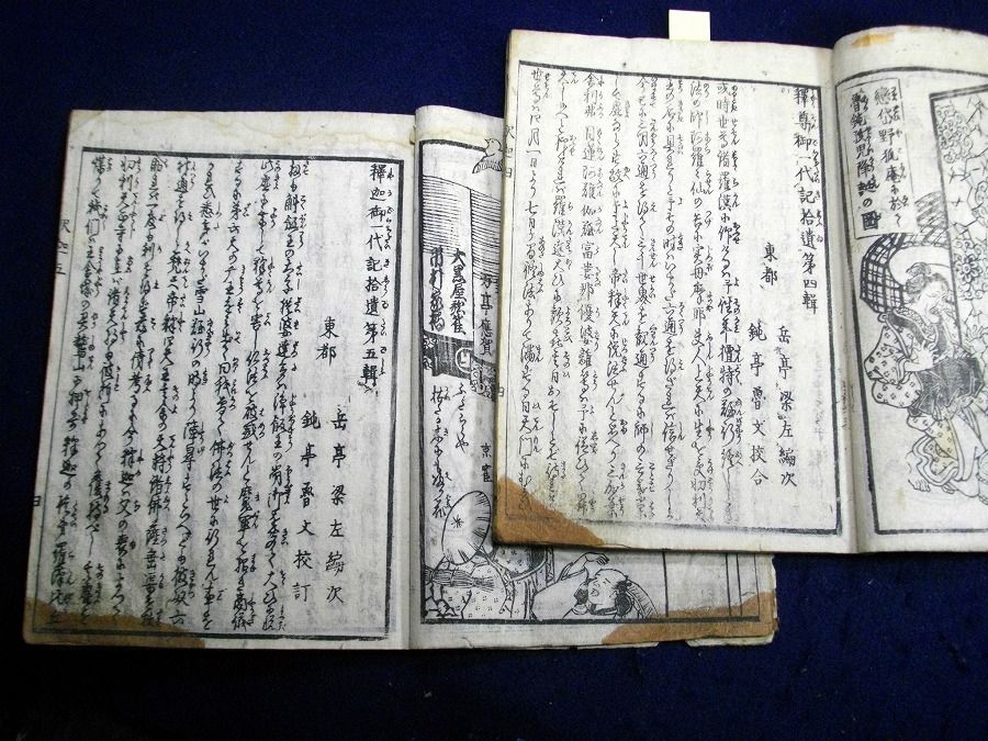 イメージ 9