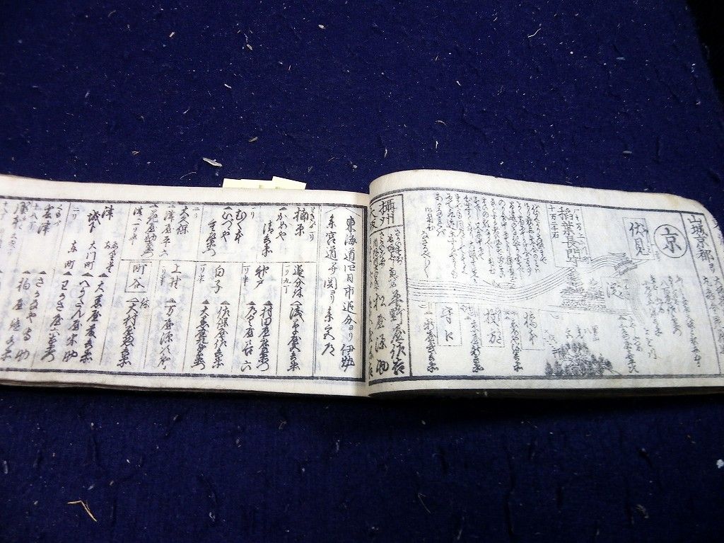 イメージ 8