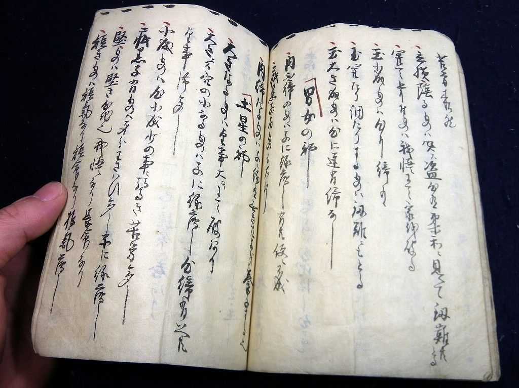 イメージ 7