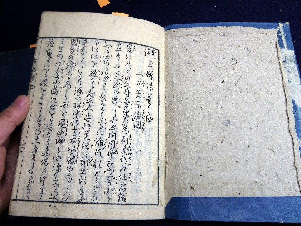 イメージ 6