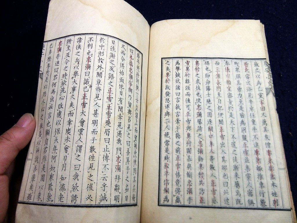 イメージ 6