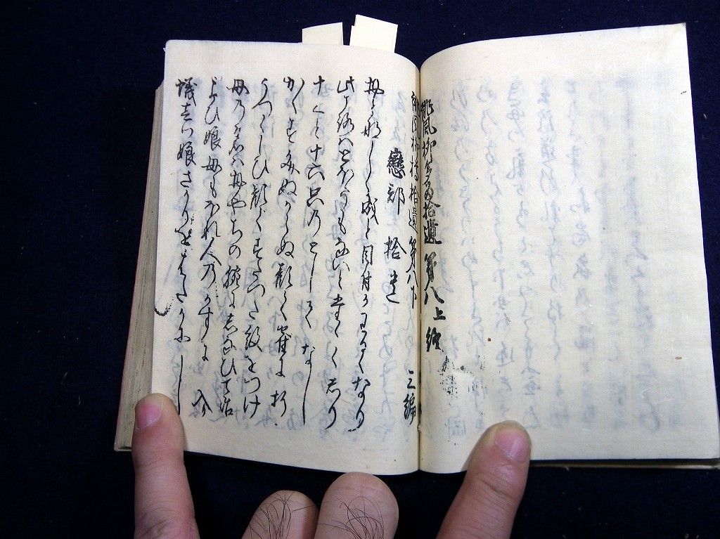 イメージ 7