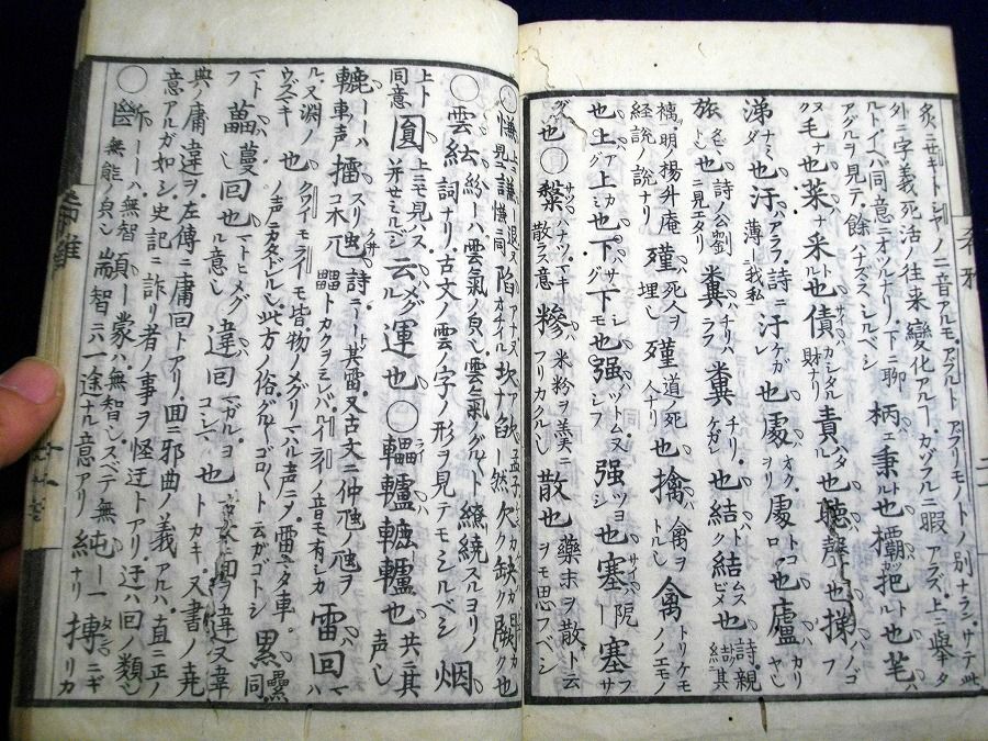 イメージ 6