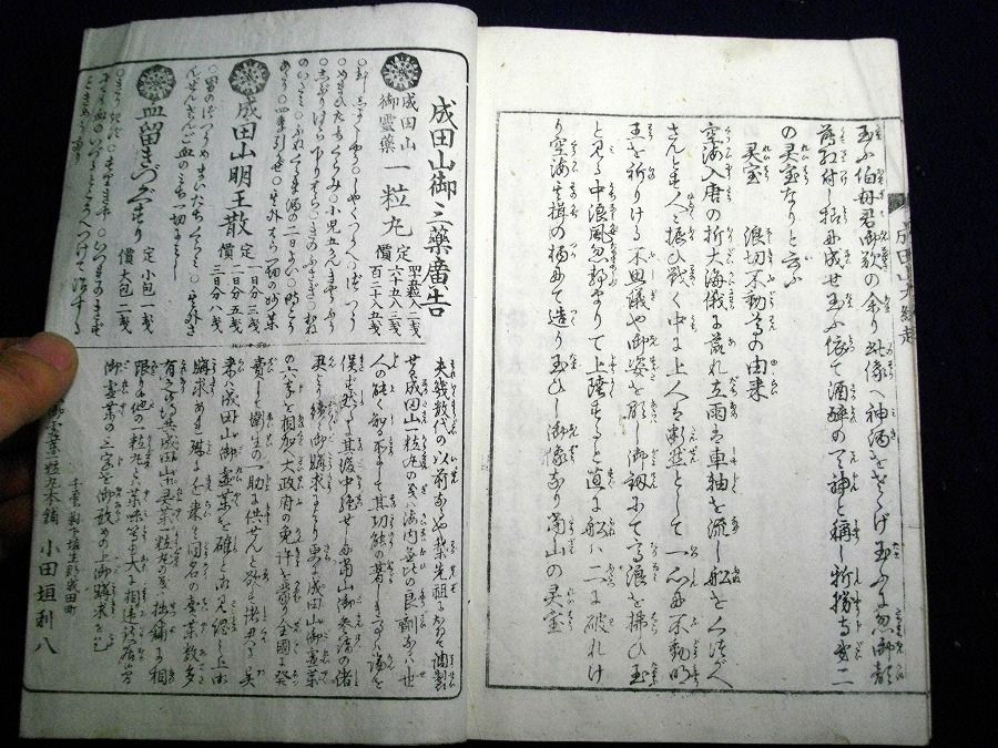 イメージ 7