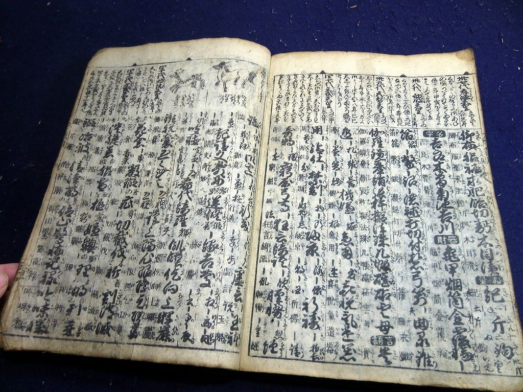 イメージ 8