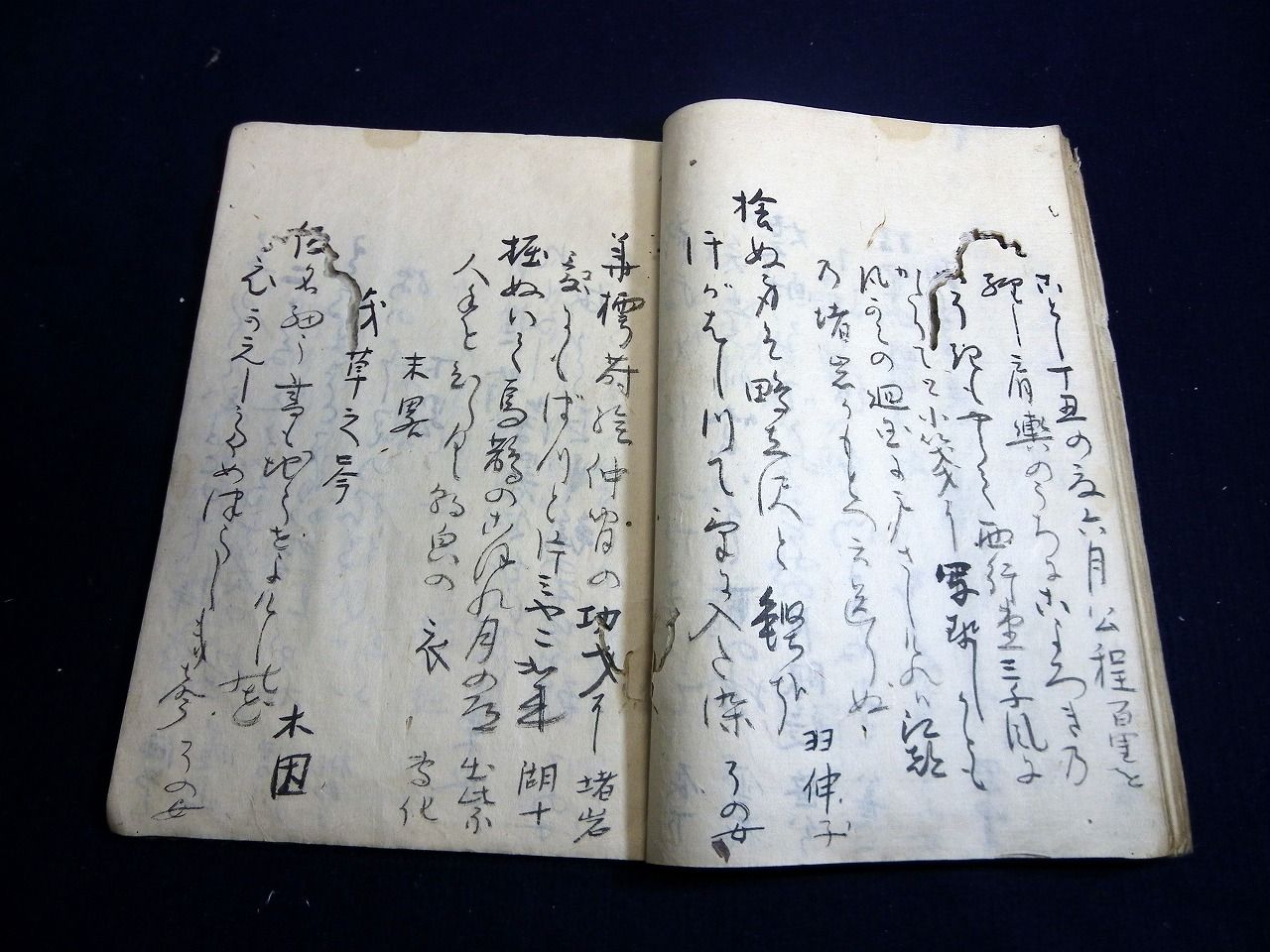 イメージ 6