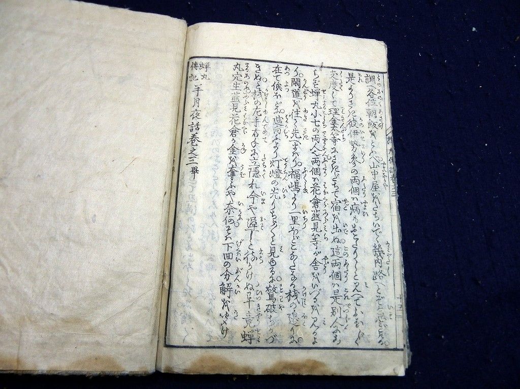 イメージ 6