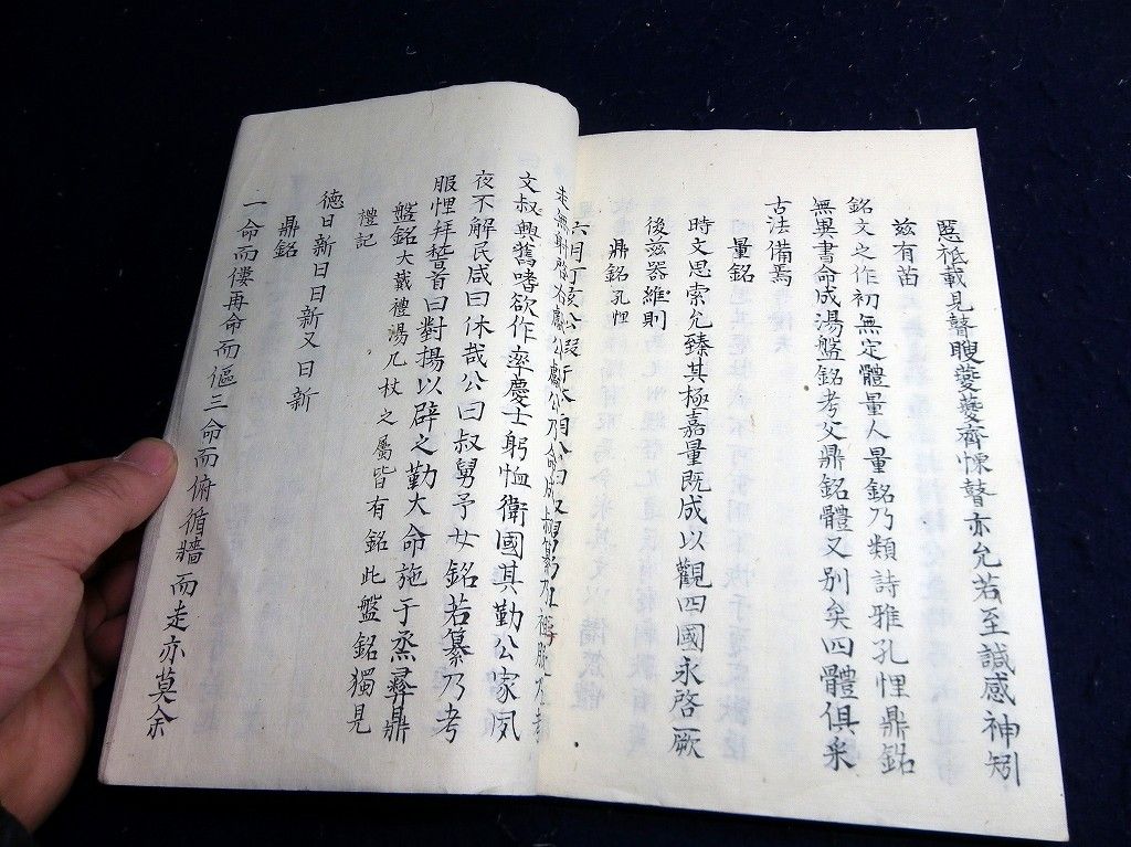 イメージ 7