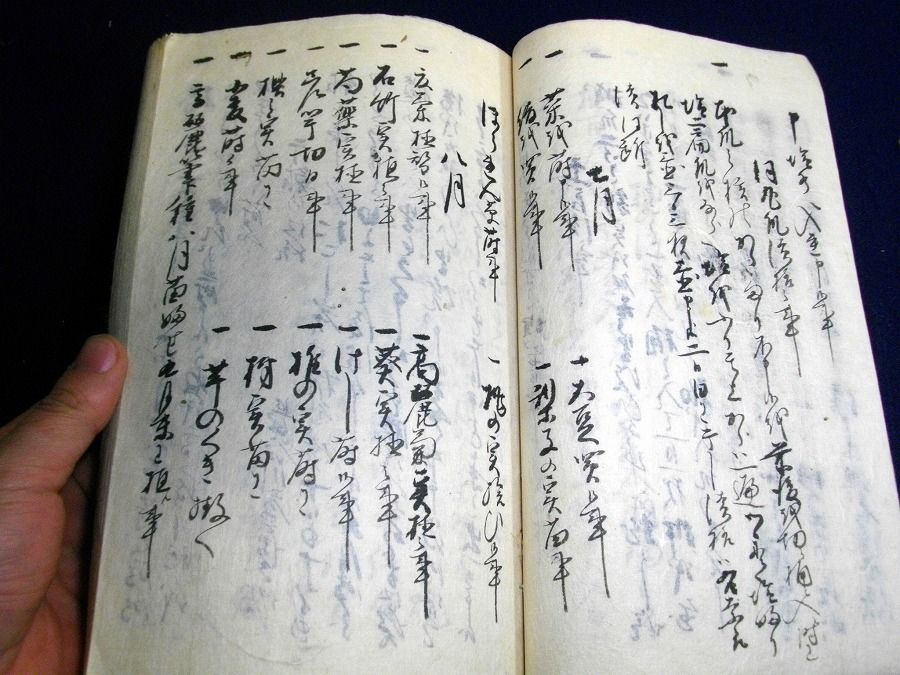 イメージ 4