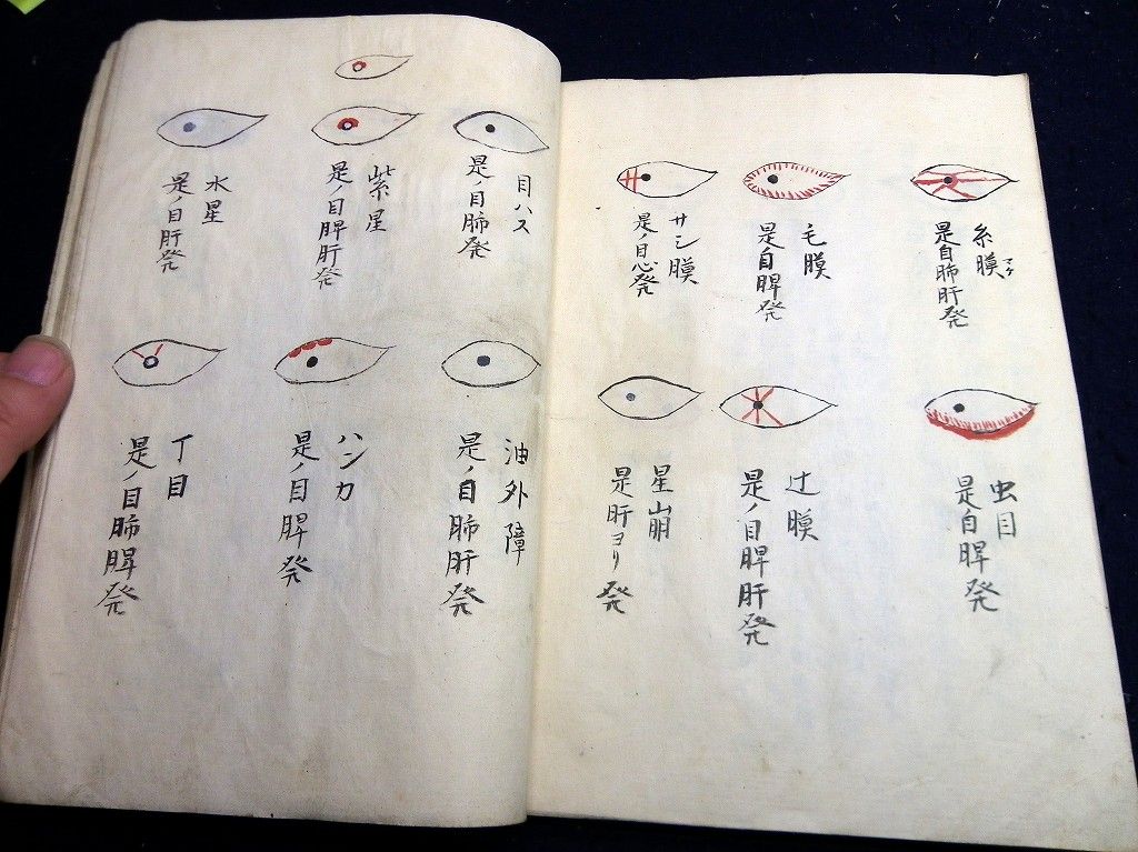イメージ 8