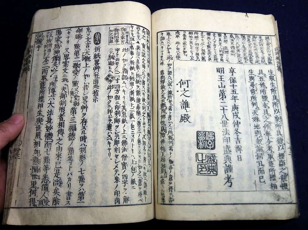 イメージ 9