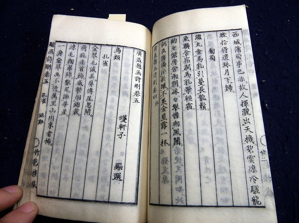 イメージ 8